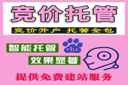 行业领先企业的SEM广告投放策略案例